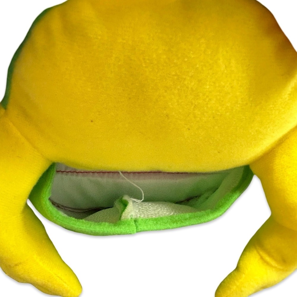 Matthew Van Fleet "Monday the Bullfrog" Interactive Plush Puppet Book 2006 - Picture 10 of 15